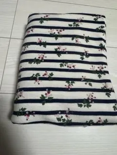 Item thumbnail for item e8bc1062-2fb9-4c74-bc66-d10dce244c39