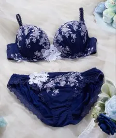 ランジェリーココ D65 M セット ネイビー