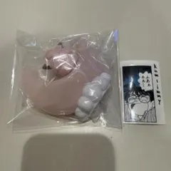 ポケモン おっきなお月さま ライトマスコット ピッピ