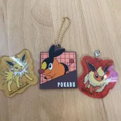【即日発送】【匿名配送】 ポケモンキーホルダー3つset ポカブ
