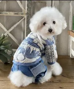 Item thumbnail for item f7162050-546d-4472-b193-14979dfce29a