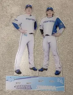 Item thumbnail for item f8abacdf-2c13-4f91-964a-37bffb397046