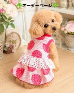 ハンドメイド犬服・ストライプに華やかな赤い花柄・ギャザーたっぷりワンピースのサムネイル