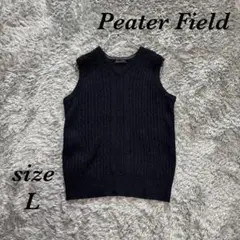 ピーターフィールド (L) ニットベスト 重ね着 ケーブルニット Vネック 秋冬