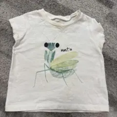 INSECT COLLECTION カマキリ Tシャツ 80〜90サイズのサムネイル