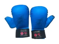 ヒロタ　空手　拳サポ　Mサイズ　青