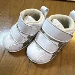 Item thumbnail for item e4232669-3ec9-4b56-8ab2-cdc703bf86e5