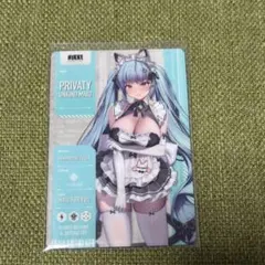 NIKKE メタリックパス プリバティ