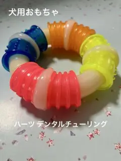 Hartz デンタルチューリング S～M 犬用おもちゃのサムネイル