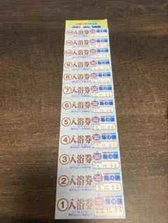 천연온천 드래곤 온천 입욕권 24장 세트