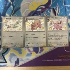 キャモメ　ヨクバリス　パフュートン　S