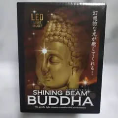 SHINING BEAM BUDDHA LEDライト