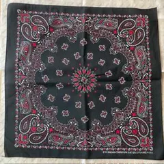 Item thumbnail for item d13824c6-8fa3-47df-9512-8714c97a34af