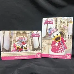 パルパルーザ2024 コレクションカード ミニーのファンダーランド ミニパル