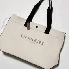 新品未使用】COACH スモーククリアビニールトートバッグ／サマーバッグ
