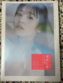坂井仁香 2nd写真集 ひとかけら