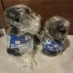 イクイノックス　アイドルホース　第43回ジャパンカップ2体（L・Mサイズ）