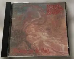 BLESSED ARE THE SICK ／ MORBID ANGEL 輸入盤