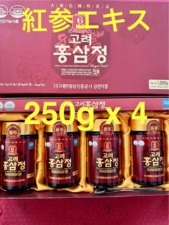 醗酵紅参鹿茸団 高麗人参濃縮液 6年根 高級漢方 120g (4g × 30錠 