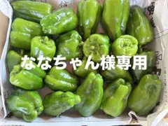 ななちゃん様専用