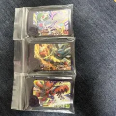 ポケモンフレンダベストタッグスーパートレジャーサーナイト、ルカリオ、ハッサム