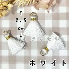 約2.5cm,ミニタッセル,10本セット,ホワイト,丸カン付