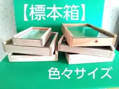 ▣ 다양한 크기의 [표본 상자] 6종