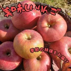 yuyu様専用 クール便送料 #