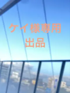 ケイ様専用　出品