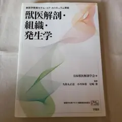 Item thumbnail for item 12501473-596a-4f6f-9d63-f67a1781c830