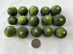☆摘果すだち　徳島県産　15個のサムネイル