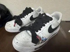そら専用　NIKE Air Force 1 パラノイズ