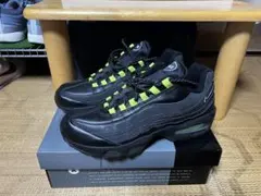 【最安値】Nike Air Max95 HRJK