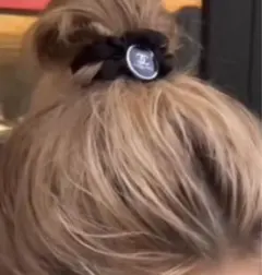ヘアゴム　シュシュ