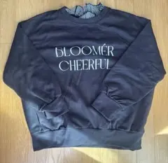 Item thumbnail for item ceb04c4f-be72-4054-b6c1-701d764bb8a2