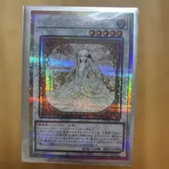 ガーデン・ローズ・メイデン　プリシク ガーデン・ローズ・メイデン プリシク ガーデンローズメイデン