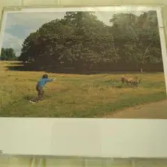 Item thumbnail for item 69d2344a-3da2-4c2d-93d0-3b030a6856e0