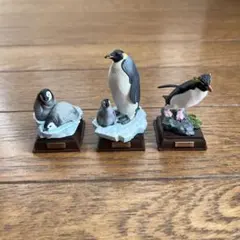 2025年最新】ペンギンクラブの人気アイテム - メルカリ