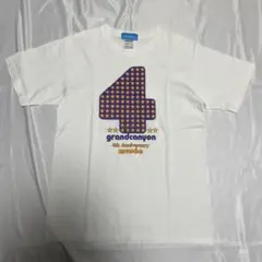 Item thumbnail for item 4808d406-3f84-403b-892e-1781c04c55f7