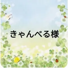 きゃんべる様確認用