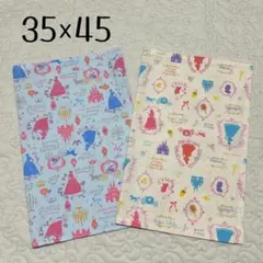 ランチョンマット 35×45 2枚セット　プリンセス柄　女の子用　女児　給食用