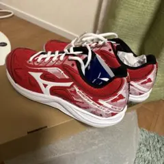 ミズノ　カーペットコート　テニスシューズ　 ブレイクショット　3CS