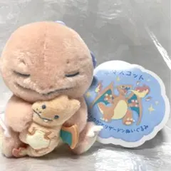 ポケモン ヒトカゲとリザードン ぬいぐるみマスコット - メルカリ