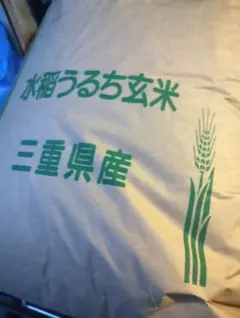 令和7年新米 三重県産自家用コシヒカリ 玄米30kg 送料込みのサムネイル