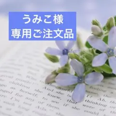 うみこ様　専用ご注文品
