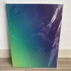 嵐 Beautiful World パンフレット