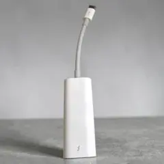 Apple 純正A1790 USB-C Thunderbolt 3-2 アダプタ