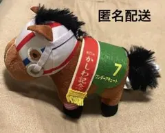 サラブレッドコレクション ワンダーアキュート