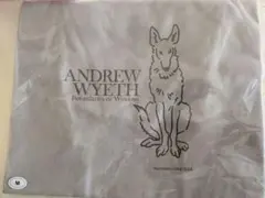 蓮根◆アンドリューワイエス展Andrew Wyeth 図録・服飾雑貨セット 蓮根様専用◇アンドリューワイエス展Andrew Wyeth 図録・服飾雑貨
