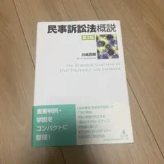 民事訴訟法概説